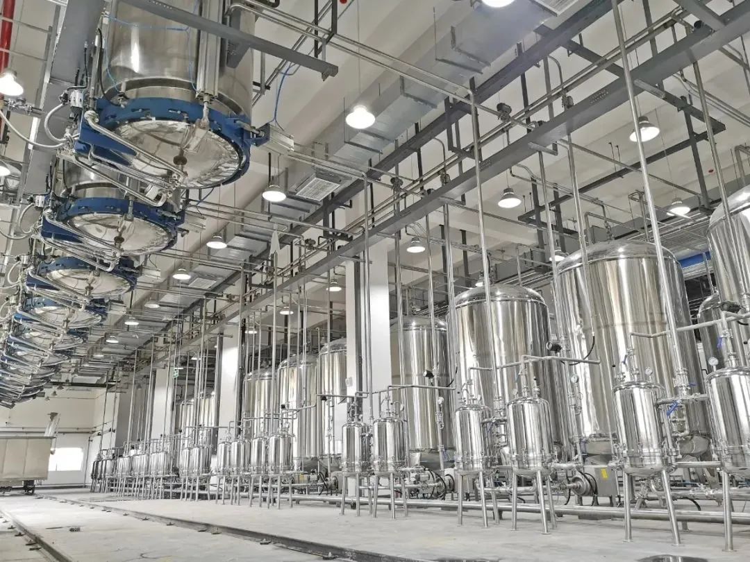 西梅提取物生产设备 速溶粉生产设备